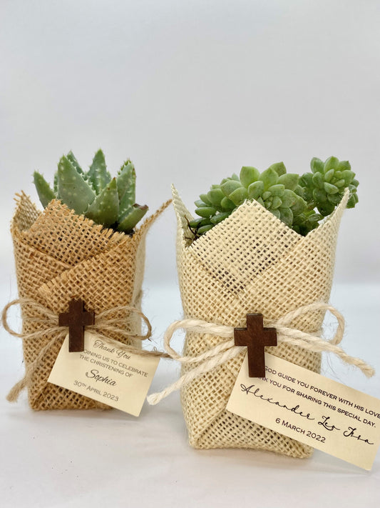 Succulent Plant w/ Brown Cross & Jute Bomboniere