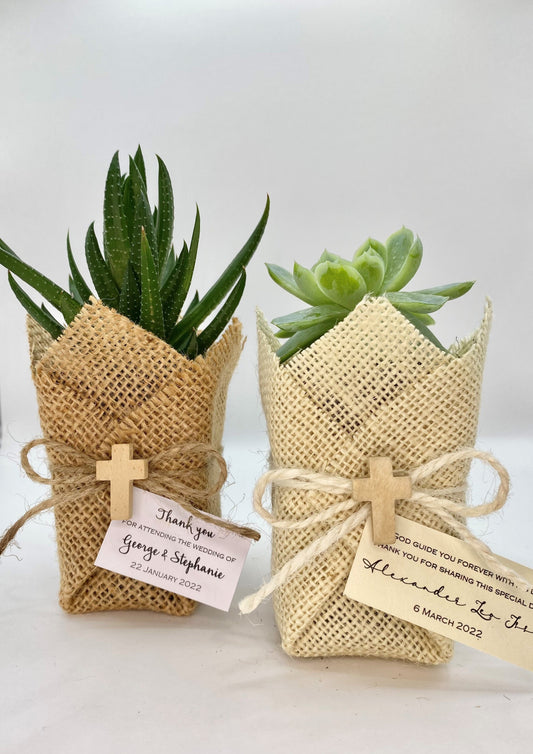 Succulent Plant w/ Ivory Cross & Jute Bomboniere