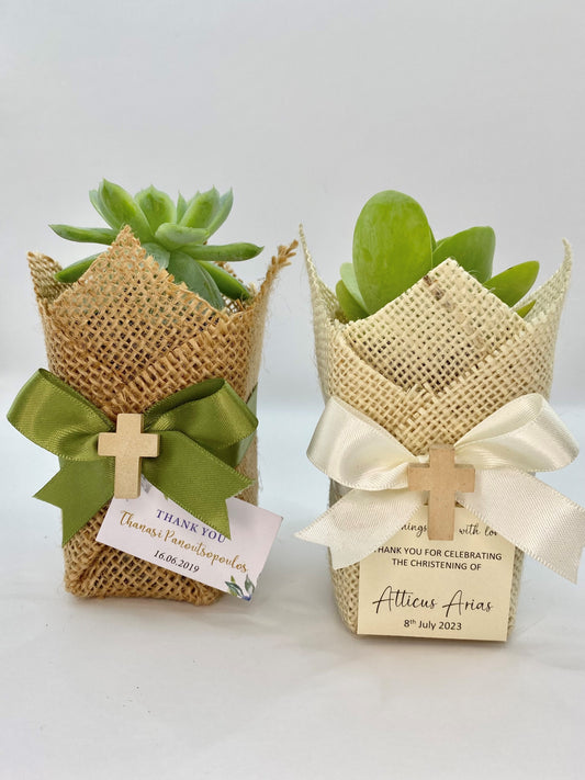 Succulent Plant w/ Ivory Cross & Ribbon Bomboniere